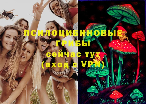 PSILOCYBIN Алзамай